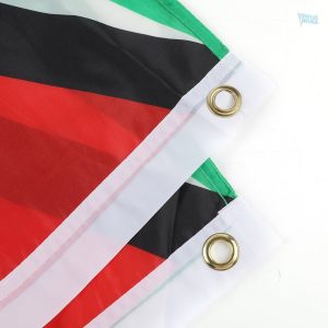 Drapeau Guyana coloré, parfait pour les célébrations et festivals