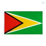 Drapeau Guyana fourreau, symbole national coloré et distinctif