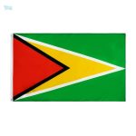 Drapeau géant du Guyana en tissu coloré