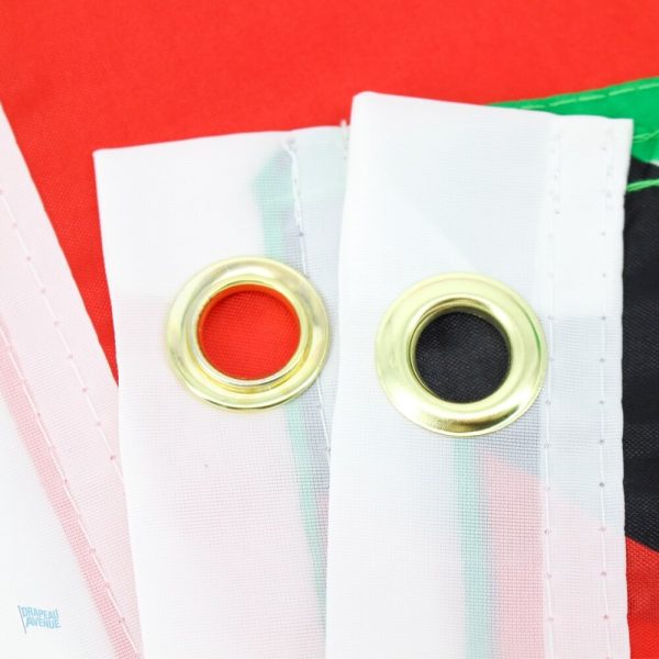 Drapeau géant représentant les couleurs du Guyana