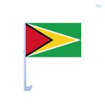 Drapeau Guyana pour voiture, accessoire auto coloré