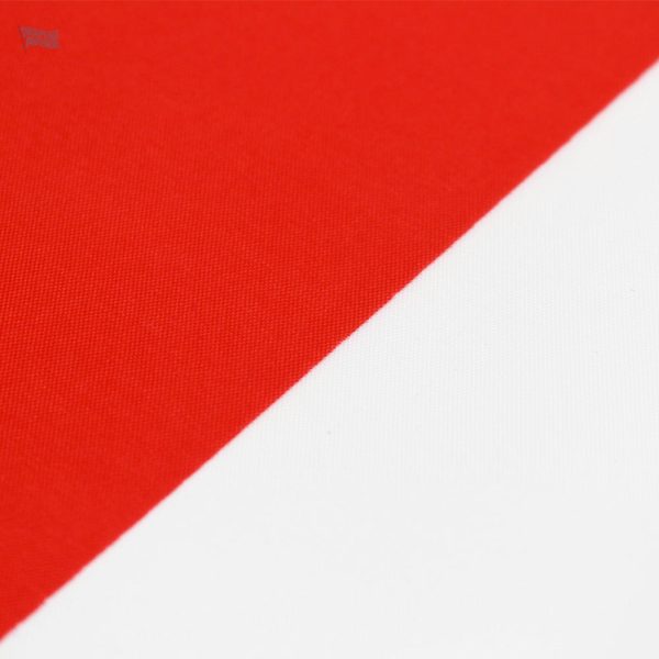 Drapeau national hongrois aux couleurs vives