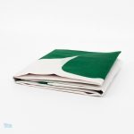 Drapeau vert, blanc et orange de l'Irlande avec trèfle