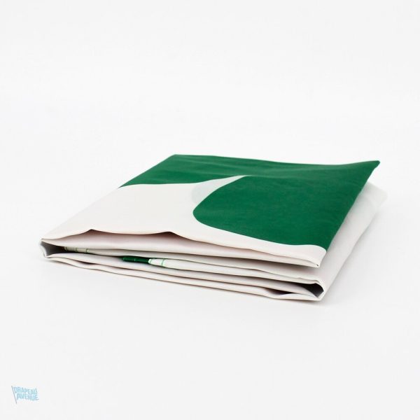 Drapeau vert, blanc et orange de l'Irlande avec trèfle