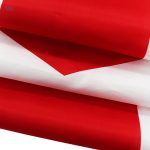 Drapeau national nord-irlandais, idéal pour événements