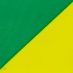 Drapeau national jamaïcain, design emblématique