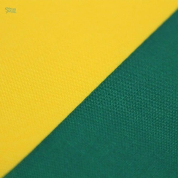 Drapeau Lituanie 60 x 90 cm, parfait pour événements