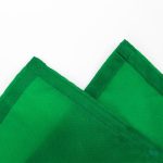 Drapeau national du Nigeria en taille 90 x 150 cm