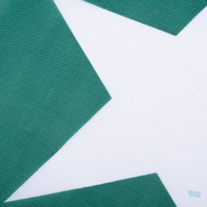 Drapeau du Pakistan 100% polyester résistant aux intempéries