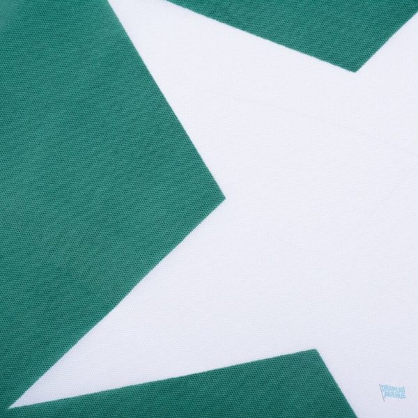 Drapeau du Pakistan 100% polyester résistant aux intempéries