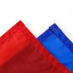 Drapeau Paraguay avec les couleurs emblématiques nationales