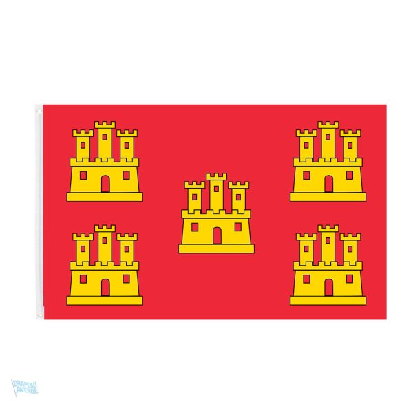 Drapeau Poitou-Charentes en tissu coloré