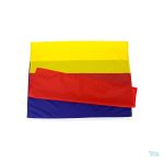 Drapeau Roumanie idéal pour les festivités et célébrations