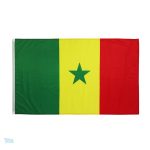 Drapeau Sénégal 120 x 180 cm, motif national