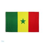 Drapeau Sénégal extérieur en polyester résistant aux intempéries