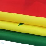 Drapeau Sénégal, accessoire essentiel pour les supporters et les rassemblements