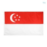 Drapeau de Singapour 60 x 90 cm en polyester