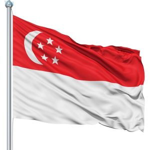 Drapeau national de Singapour, idéal pour extérieur et événements