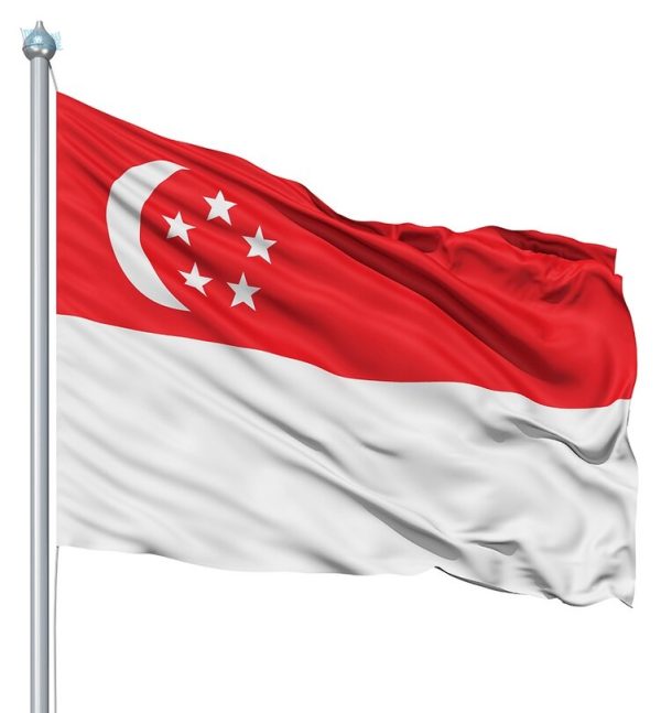 Drapeau national de Singapour, idéal pour extérieur et événements