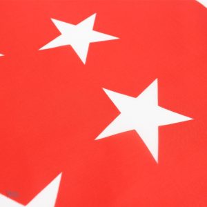 Drapeau Singapour pour décoration intérieure ou extérieure