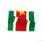 Drapeau couleur Suriname, 60 x 90 cm, pour tous les supporters