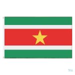 Drapeau Suriname extérieur pour décoration et affichage