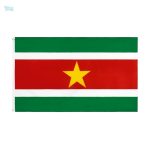 Drapeau géant du Suriname en couleurs vives