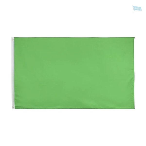 Drapeau vert uni