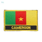 Écusson drapeau du Cameroun, emblème national coloré