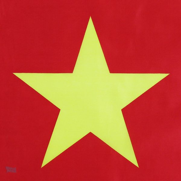 Drapeau du Cameroun, design classique et élégant