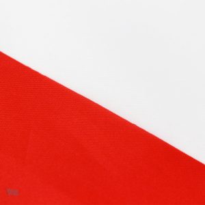 Drapeau des Émirats Arabes Unis, symbole national