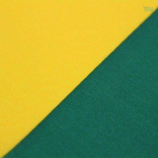 Drapeau Lituanie vibrant, parfait pour les événements