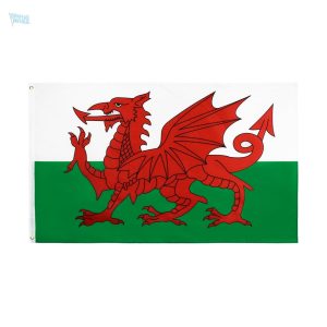 Grand drapeau du Pays de Galles en tissu résistant