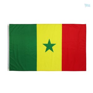 Grand drapeau du Sénégal en tissu vibrant