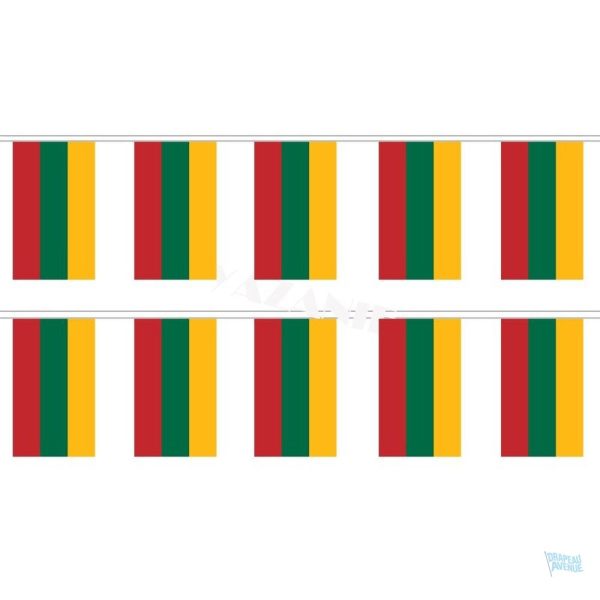 Guirlande de drapeaux Lituanie colorée et festive