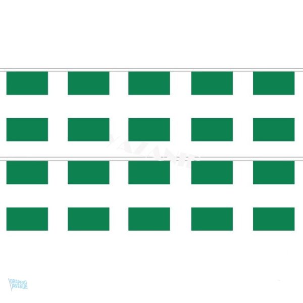 Guirlande drapeau Nigeria décorative pour événements
