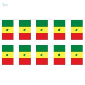 Guirlande drapeau représentant le Sénégal en couleurs vives