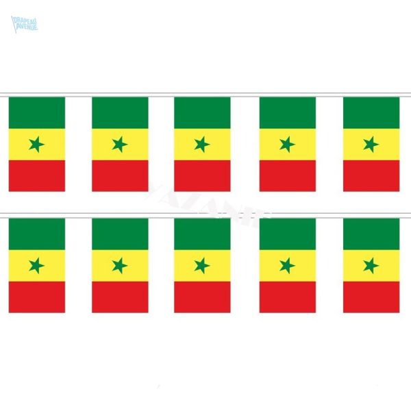 Guirlande drapeau représentant le Sénégal en couleurs vives