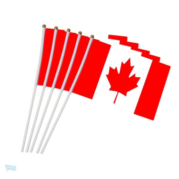 Drapeau canadien miniature pour décorations ou événements