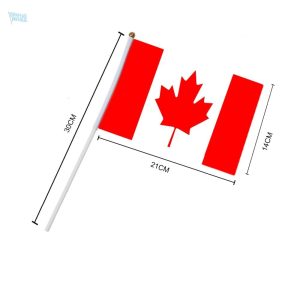 Petit drapeau du Canada, idéal pour les fêtes et célébrations