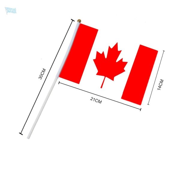 Petit drapeau du Canada, idéal pour les fêtes et célébrations