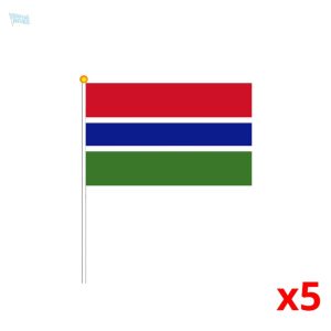 Mini drapeau de la Gambie sur fond coloré