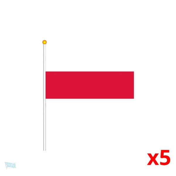 Mini drapeau de la Pologne