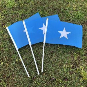 Drapeau somalien symbolisant l'identité nationale