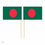 Mini drapeaux du Bangladesh en piques décoratifs pour événements