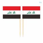 Mini drapeaux du Irak en pics décoratifs