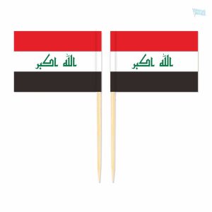 Mini drapeaux du Irak en pics décoratifs