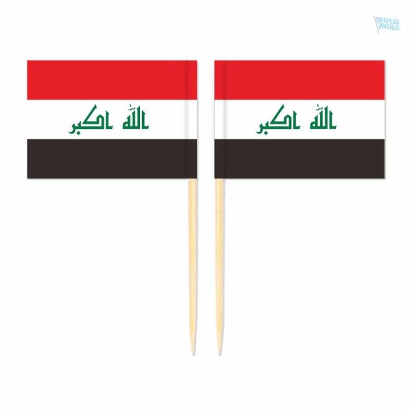 Mini drapeaux du Irak en pics décoratifs