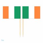 Mini drapeaux de l'Irlande pour décoration festive