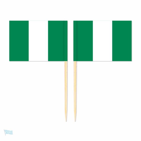 Mini pics drapeau du Nigeria pour décoration festive